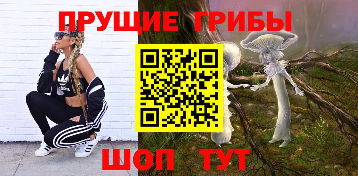 Псилоцибиновые грибы GOLDEN TEACHER Дивногорск