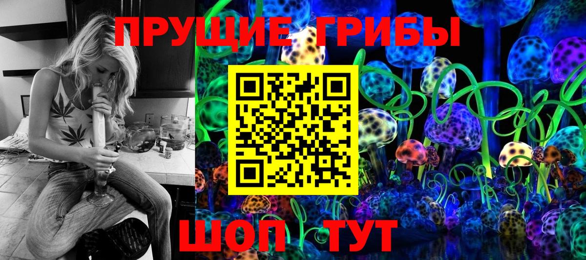 Галлюциногенные грибы MAGIC MUSHROOMS  Вход с VPN  Дивногорск 